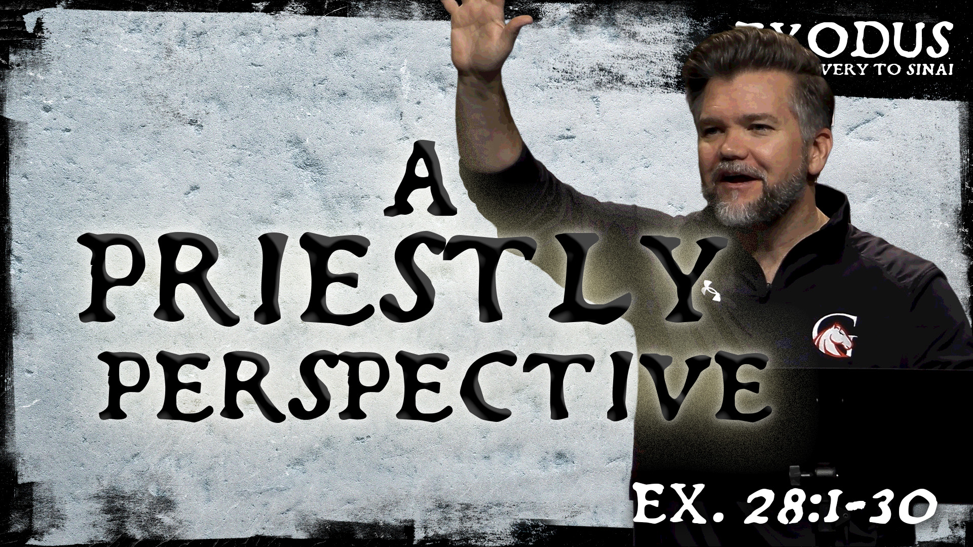 A Priestly Perspective