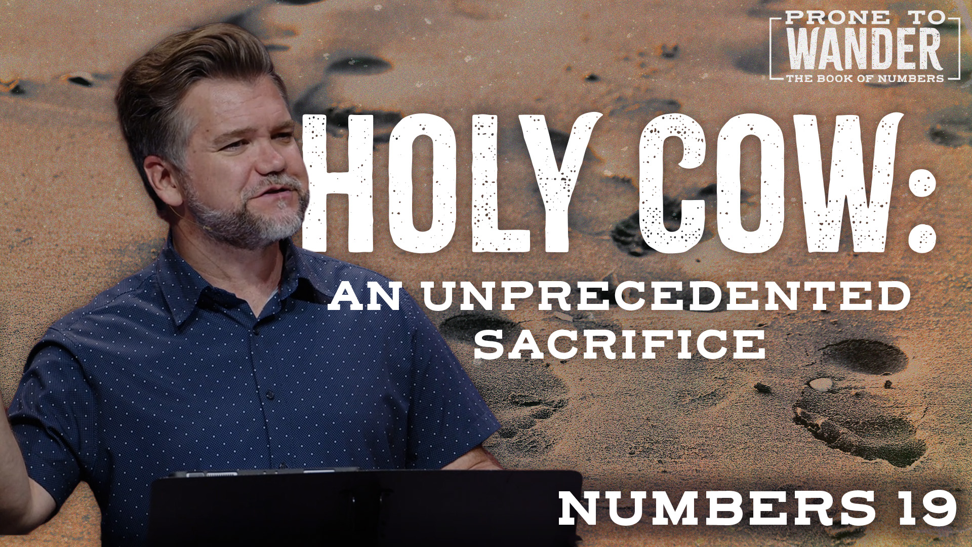Holy Cow: An Unprecedented Sacrifice 