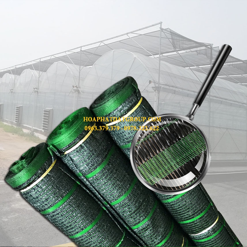 CUNG CẤP BẠT TRẢI DIỆT CỎ CÔNG NGHỆ THÁI LAN – BẠT TRẢI HOÀ PHÁT ĐẠT