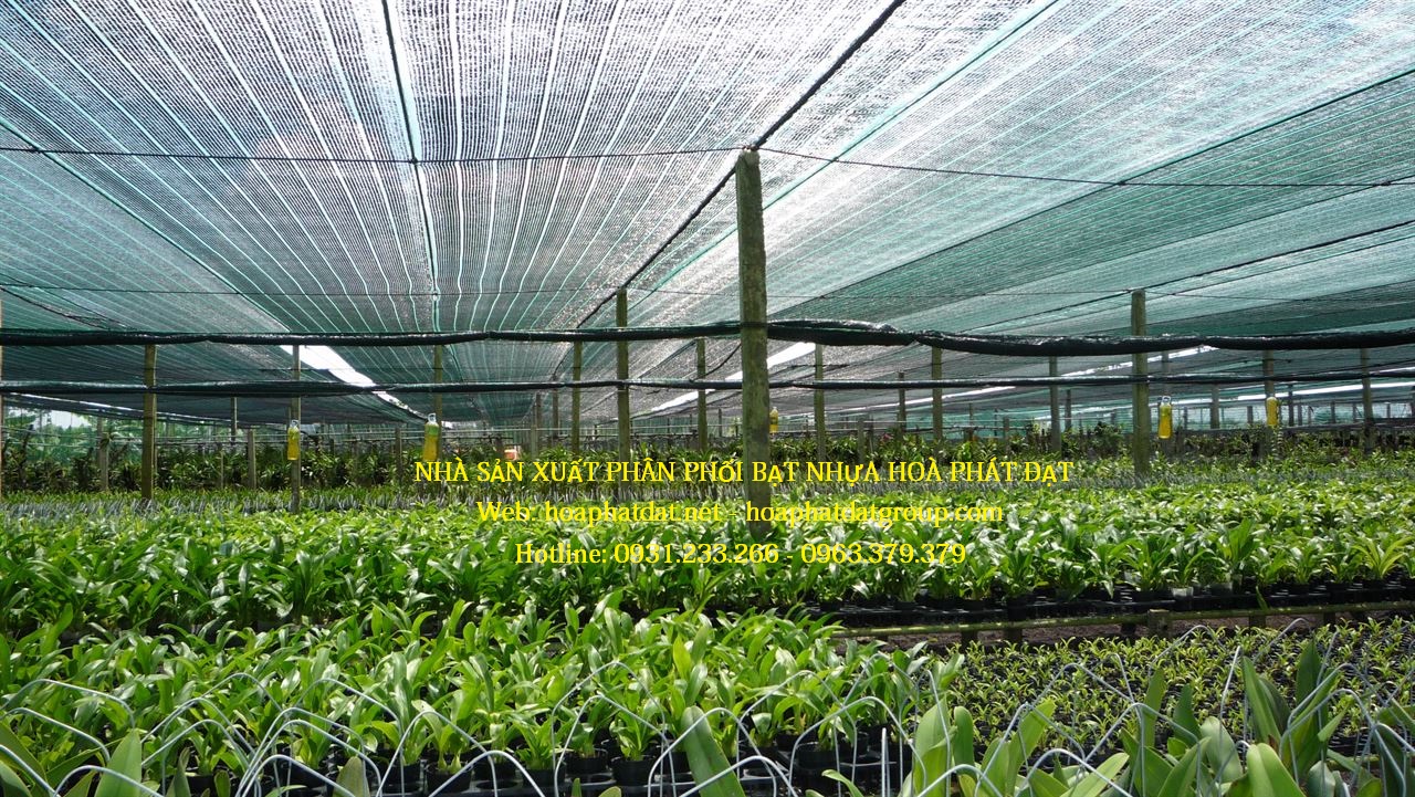 CHUYÊN CUNG CẤP LƯỚI CHE NẮNG, LƯỚI CHE NẮNG SIÊU BỀN - LƯỚI CHE HOÀ PHÁT ĐẠT