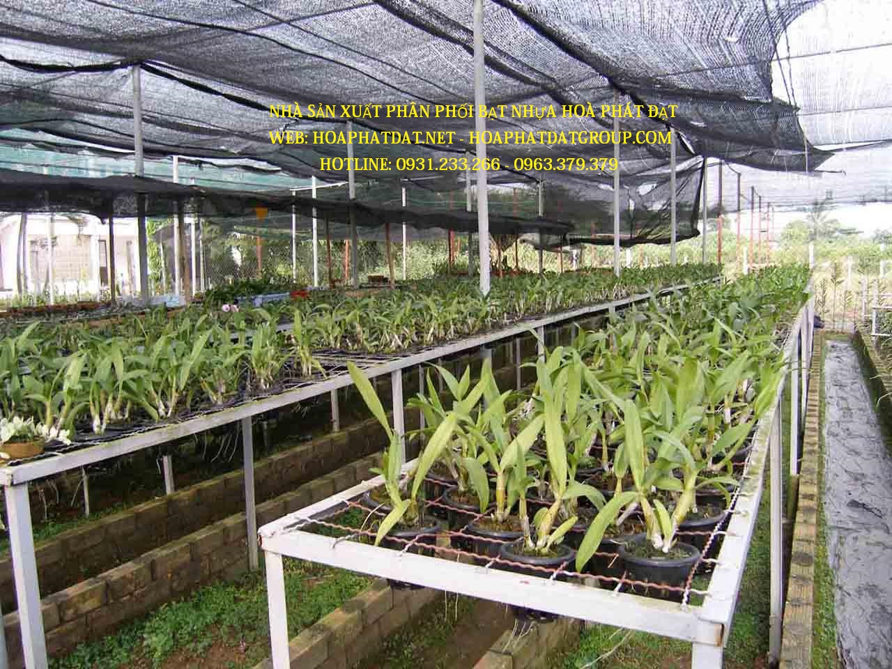 LƯỚI LAN BAO NHIÊU TIỀN 1M, LƯỚI CHỐNG NẮNG THÁI LAN GIÁ RẺ NHẤT HIỆN NAY
