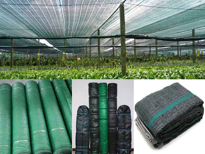 lưới che nắng chống nắng hòa phát đạt
