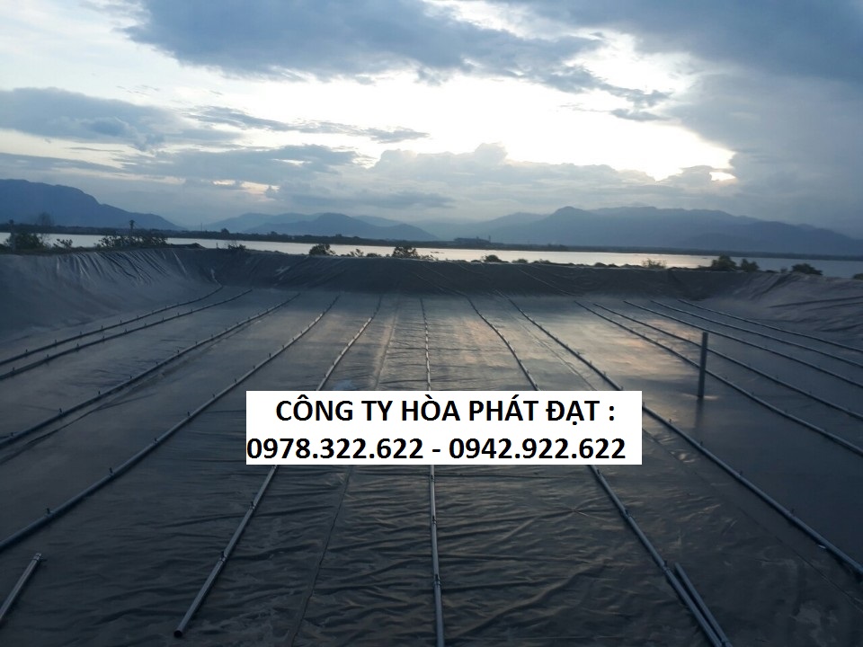 Bạt nhua 2 da han quoc chinh hang hoa phat dat