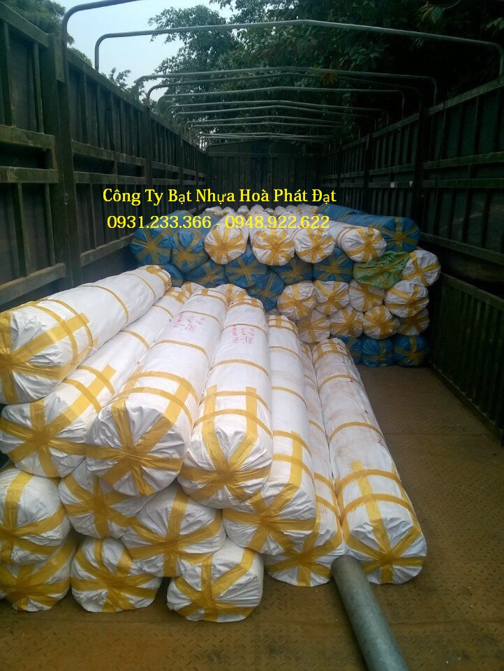 BẠT LÓT AO NUÔI TÔM GIÁ RẺ - BẠT NHỰA HOÀ PHÁT ĐẠT