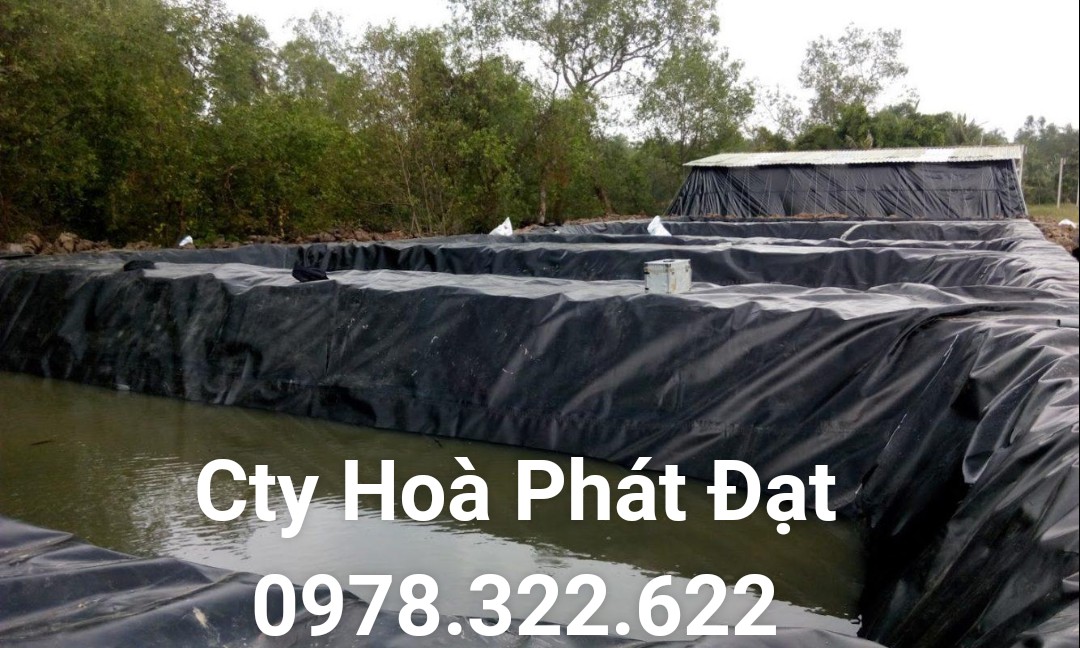 CUNG CẤP MÀNG BẠT CHỐNG THẤM NƯỚC HDPE, THI CÔNG BẠT LÓT AO HỒ, BẠT NUÔI TÔM CÁ, BẠT CHỨA NƯỚC HẦM BẠT BIOGAS TẠI BẮC TÂN UYÊN BÌNH DƯƠNG