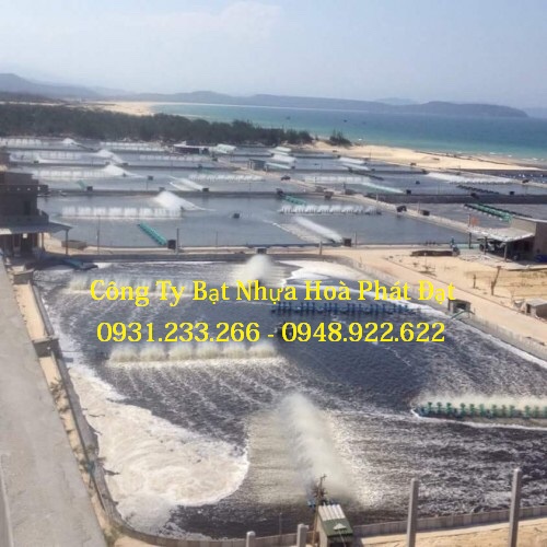 CUNG CẤP MÀNG BẠT CHỐNG THẤM NƯỚC HDPE, THI CÔNG BẠT LÓT AO HỒ, BẠT NUÔI TÔM CÁ, BẠT CHỨA NƯỚC HẦM BẠT BIOGAS TẠI HUẾ