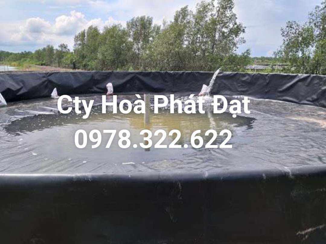 CUNG CẤP MÀNG BẠT CHỐNG THẤM NƯỚC HDPE, THI CÔNG BẠT LÓT AO HỒ, BẠT NUÔI TÔM CÁ, BẠT CHỨA NƯỚC HẦM BẠT BIOGAS TẠI BẾN TRE