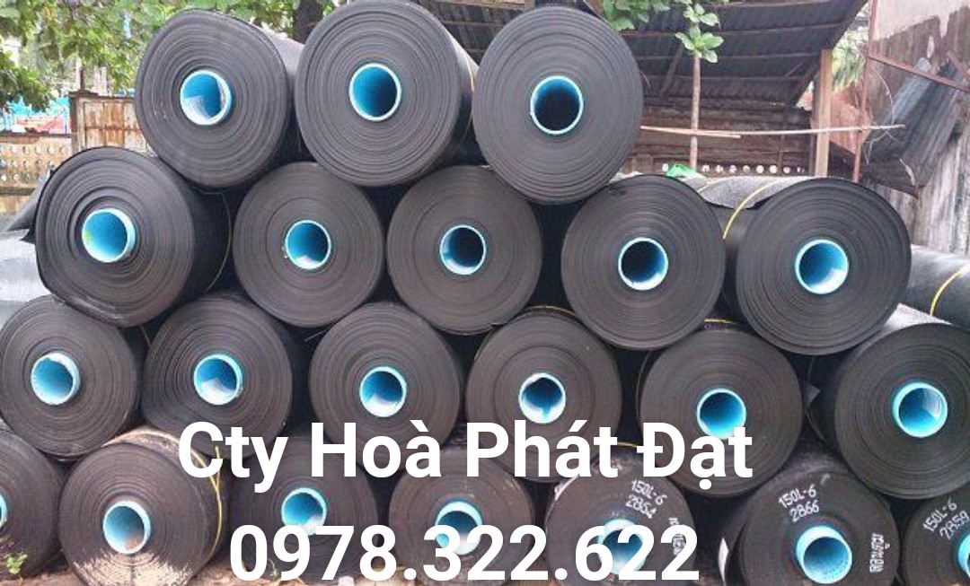 CUNG CẤP MÀNG BẠT CHỐNG THẤM NƯỚC HDPE, THI CÔNG BẠT LÓT AO HỒ, BẠT NUÔI TÔM CÁ, BẠT CHỨA NƯỚC HẦM BẠT BIOGAS TẠI PHÚ GIÁO BÌNH DƯƠNG