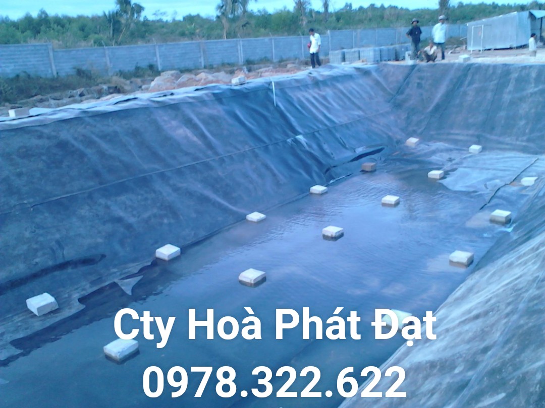 CUNG CẤP MÀNG BẠT CHỐNG THẤM NƯỚC HDPE, THI CÔNG BẠT LÓT AO HỒ, BẠT NUÔI TÔM CÁ, BẠT CHỨA NƯỚC HẦM BẠT BIOGAS TẠI DẦU TIẾNG BÌNH DƯƠNG