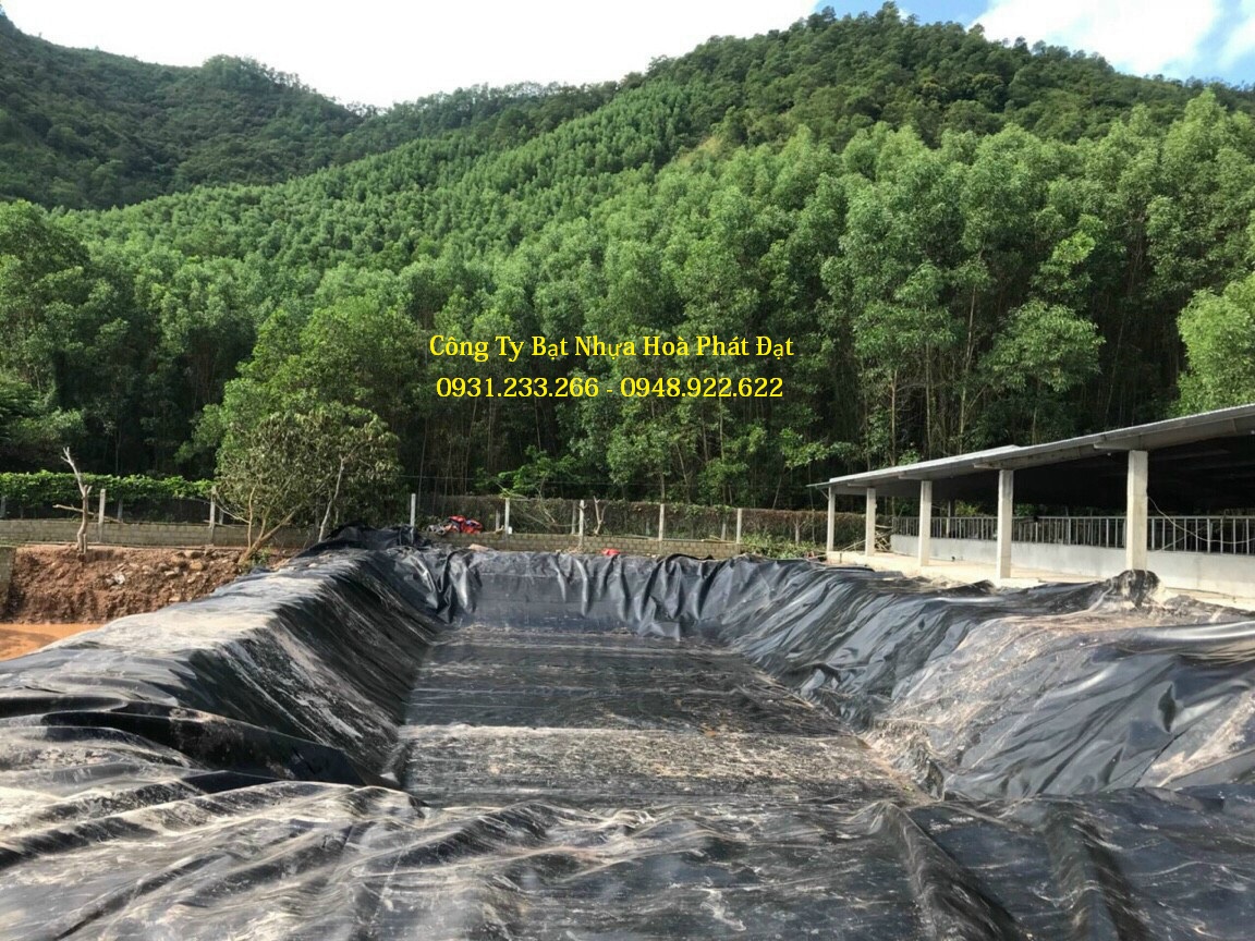 CUNG CẤP MÀNG BẠT CHỐNG THẤM NƯỚC HDPE, THI CÔNG BẠT LÓT AO HỒ, BẠT NUÔI TÔM CÁ, BẠT CHỨA NƯỚC HẦM BẠT BIOGAS TẠI HUYỆN CỦ CHI TP HỒ CHÍ MINH