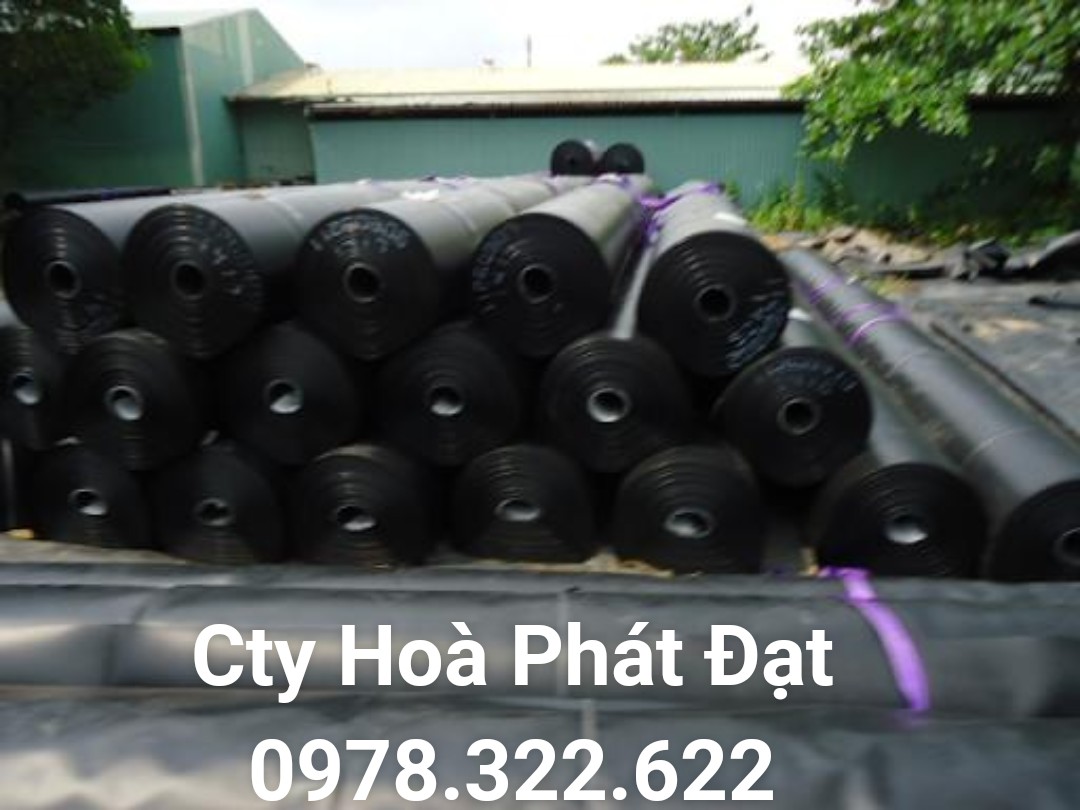 CUNG CẤP MÀNG BẠT CHỐNG THẤM NƯỚC HDPE, THI CÔNG BẠT LÓT AO HỒ, BẠT NUÔI TÔM CÁ, BẠT CHỨA NƯỚC HẦM BẠT BIOGAS TẠI QUẬN 3 TP HỒ CHÍ MINH