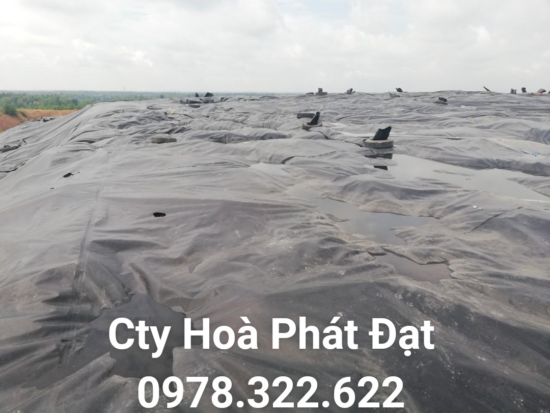 CUNG CẤP MÀNG BẠT CHỐNG THẤM NƯỚC HDPE, THI CÔNG BẠT LÓT AO HỒ, BẠT NUÔI TÔM CÁ, BẠT CHỨA NƯỚC HẦM BẠT BIOGAS TẠI BẮC NINH