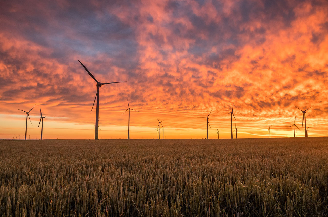 The sun setting on a wind farm