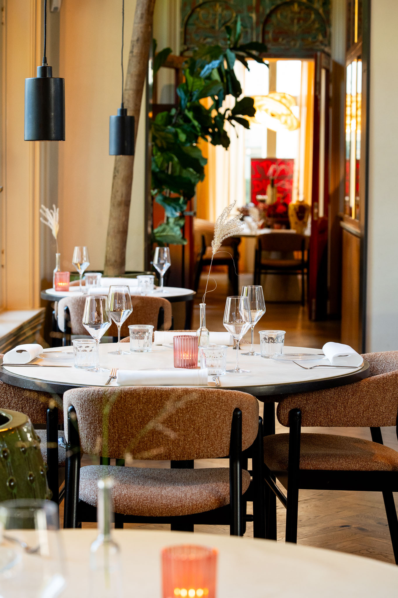 DINE afbeelding 1