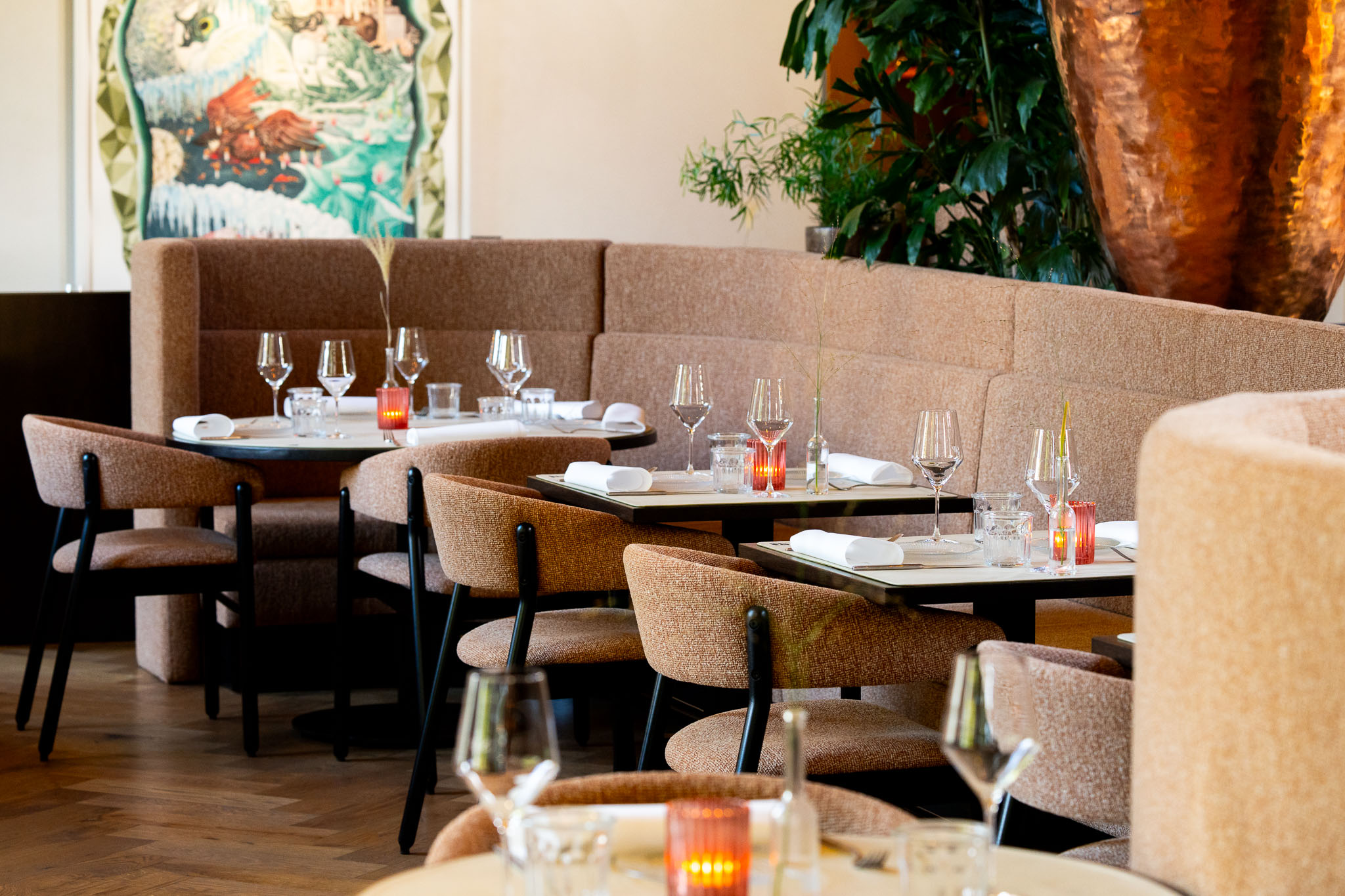 DINE afbeelding 2
