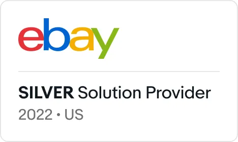 ebay logo silver solution