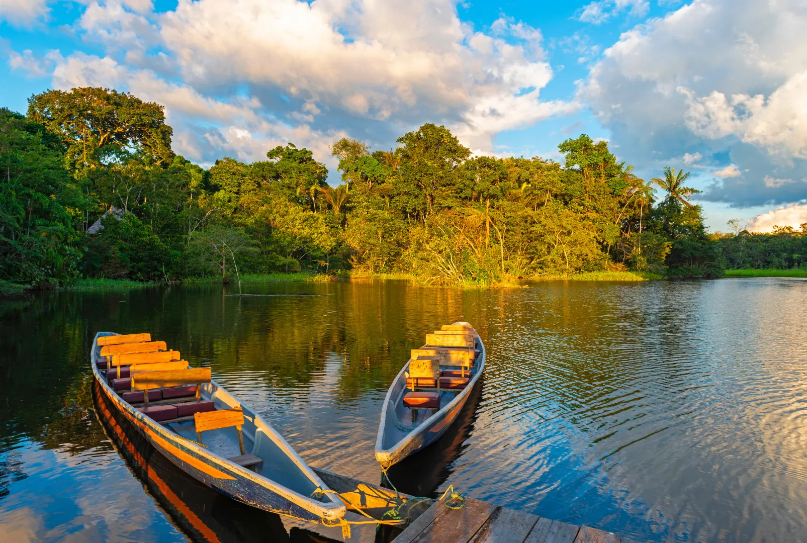 Amazônia