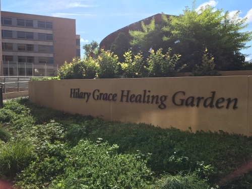 This rooftop garden provides a place of relaxation, rejuvenation and a welcoming outdoor area for patients, family, friends and staff with sculptural features, shade structures and lush plantings.