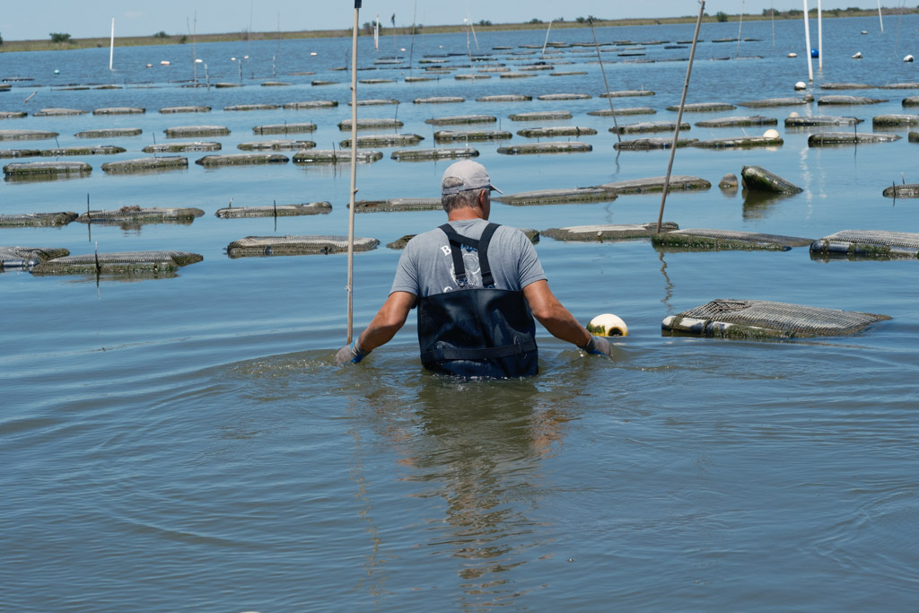 Kirk Curole, owner of Bayside Oyster Company in Grand Isle, LA 