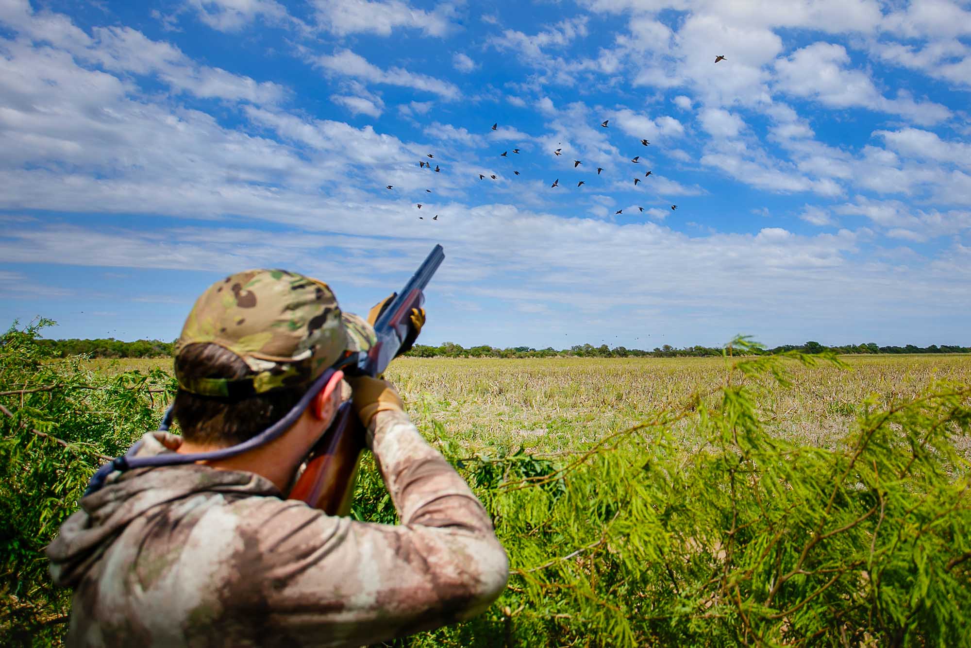 Hunter in camouflage aiming at doves over a green field