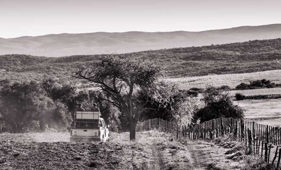 Black-and-white view of the countryside on the drive to the lodge