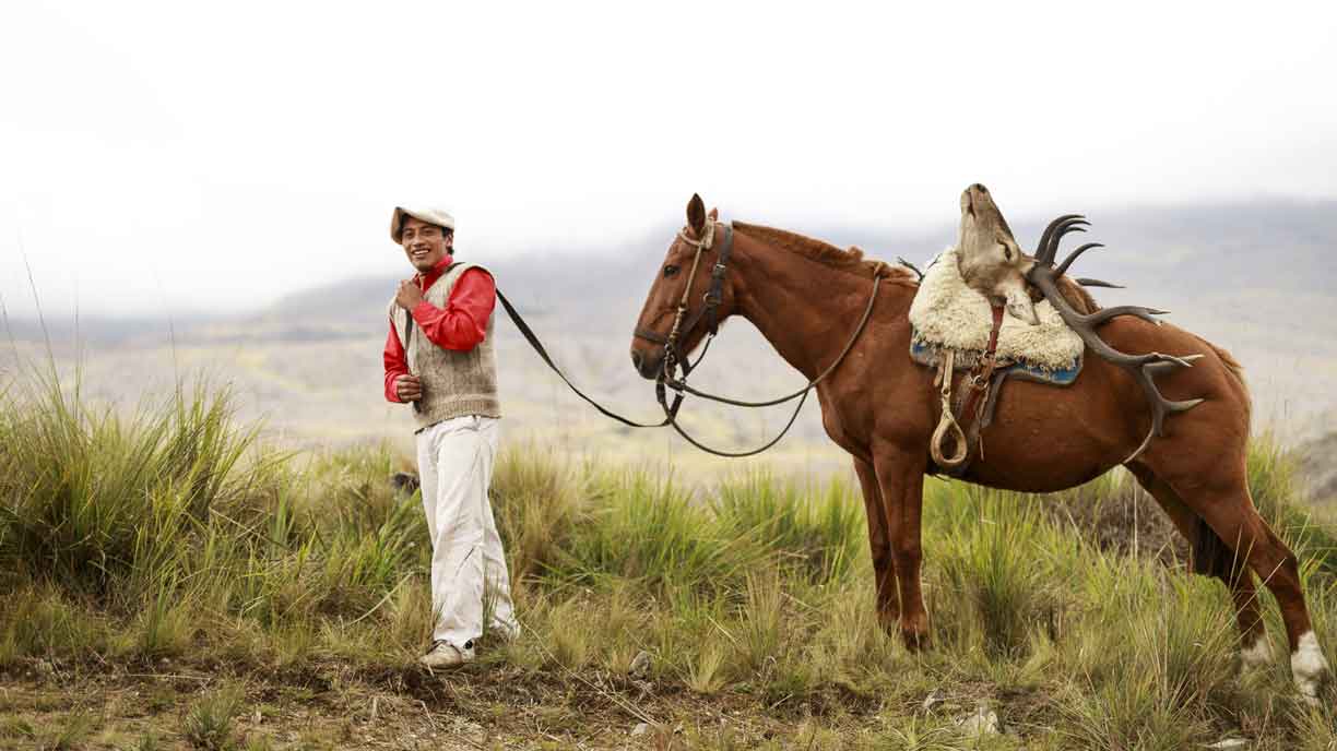 Guide with his horse in the hills of Córdoba