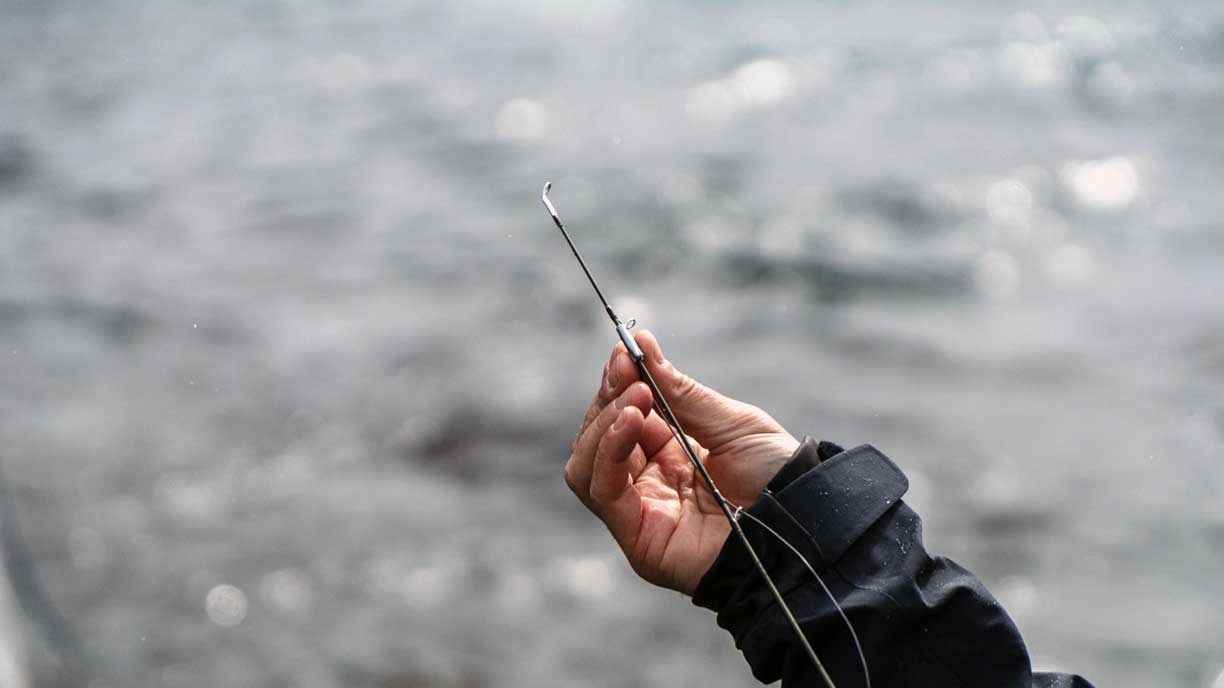 Fishing lodge hook