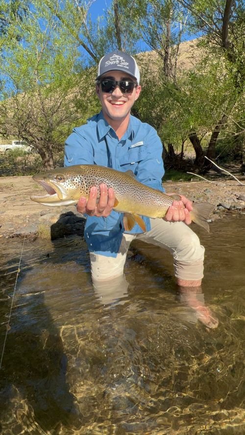 Angler kneeling in the river with a brown trout