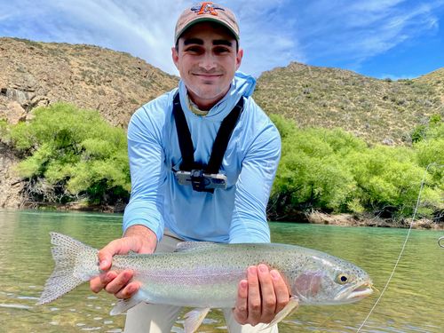 Rainbow trout caught fly fishing near Bravo Sur Lodge in Patagonia