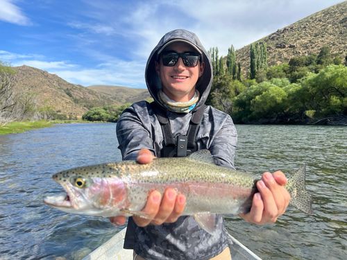 Rainbow trout caught on a Patagonian river
