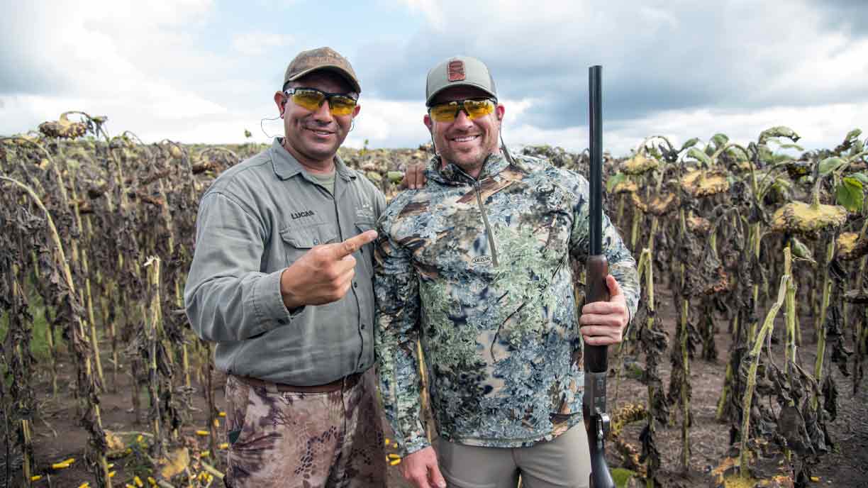 Two dove hunters in a sunflower field