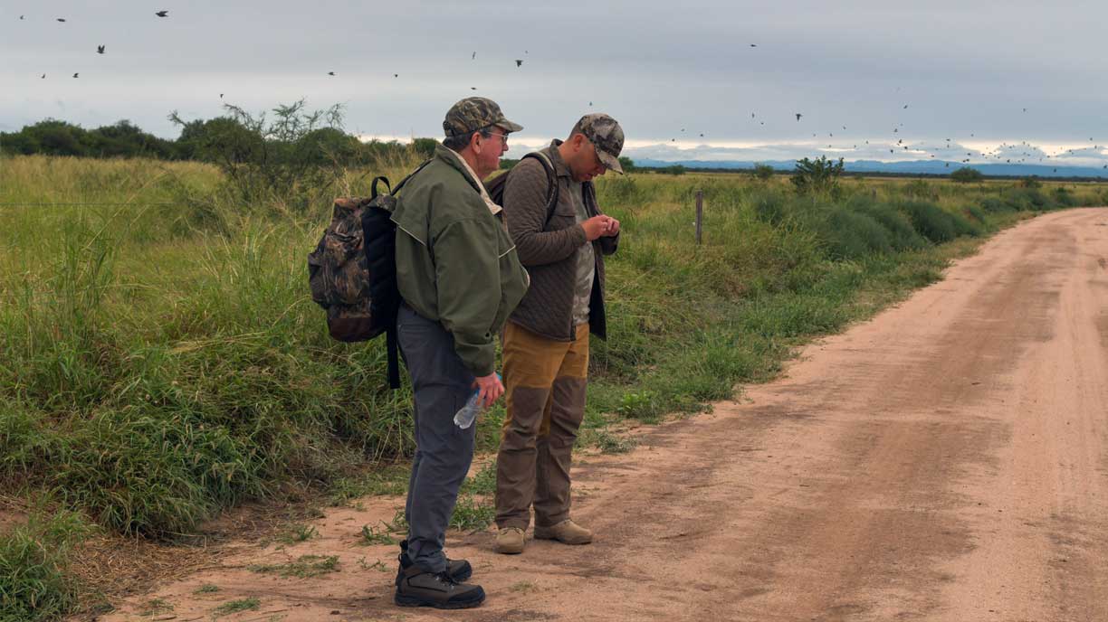 Hunters walking a dirt road to the dove fields