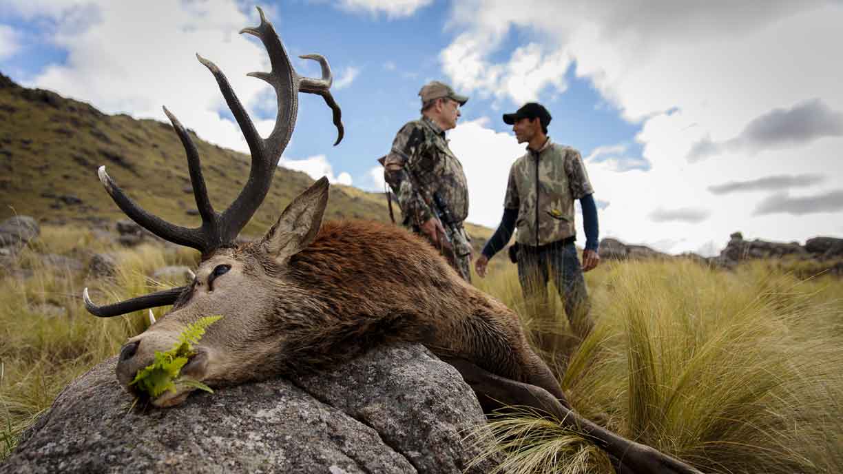 Hunters with a red stag in the hills south of Córdoba
