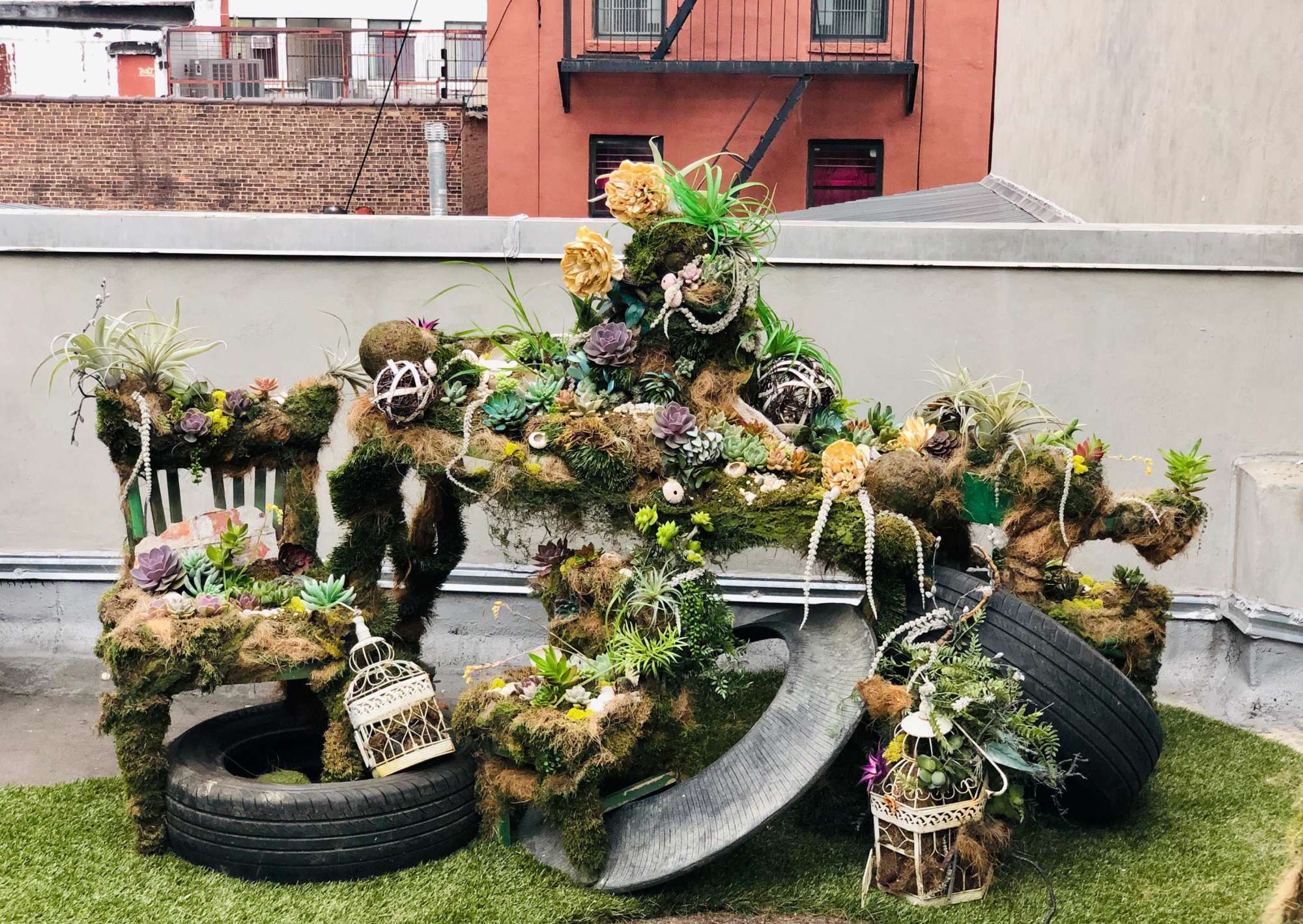 Found objects and flora sculpture on the roof of a New York City apartment building. 