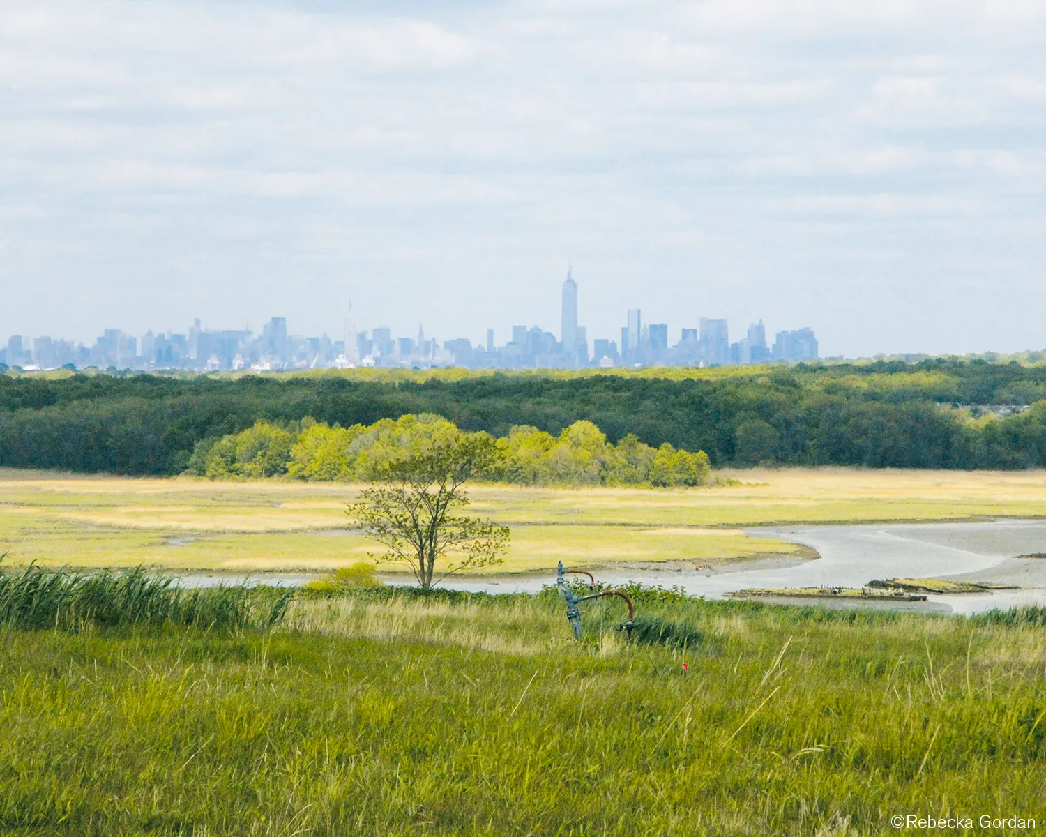 An image of Freshkills Park in Staten Island, NY.