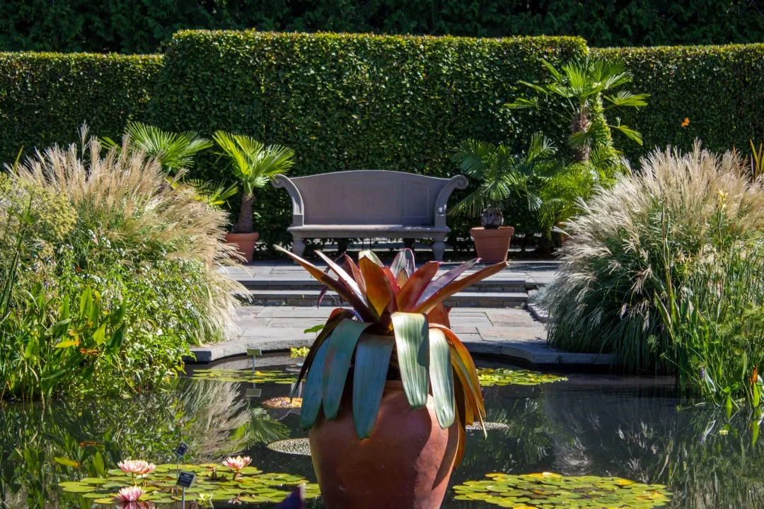 Photo of Wavehill garden featuring a pond and a bench.