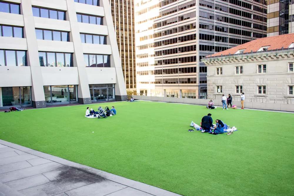 Photo of a green rooftop space located in the Financial District.