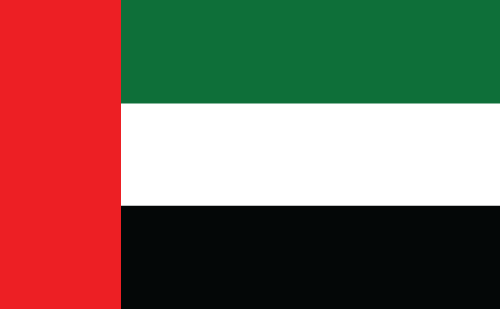 Dubai flag