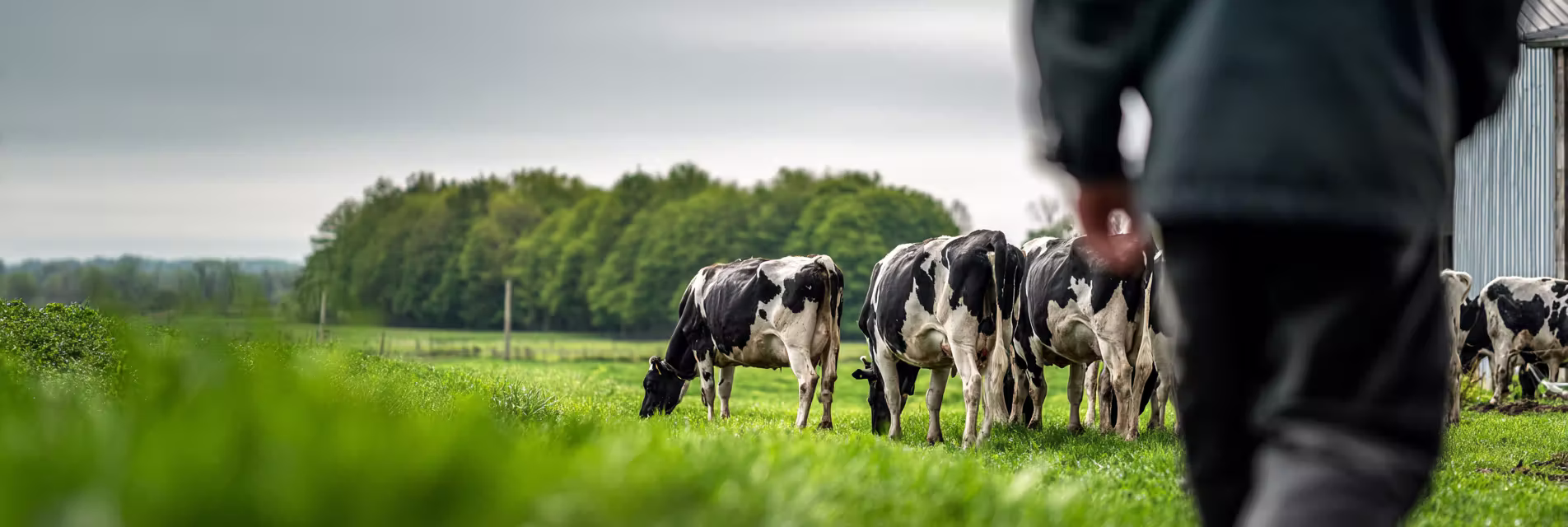 Afbeelding van de farming-sector.