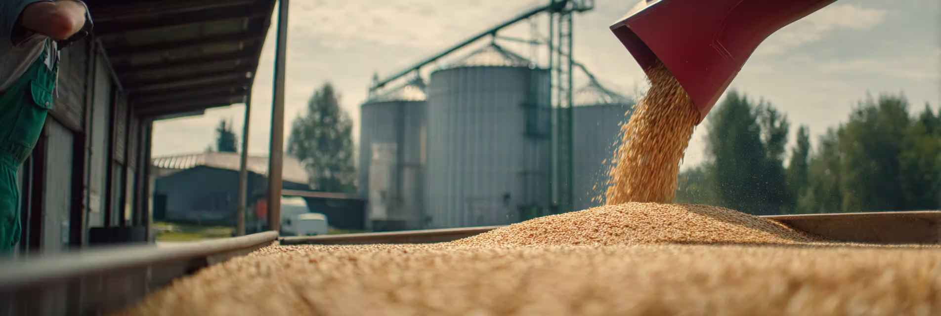 Afbeelding van de feed-sector.