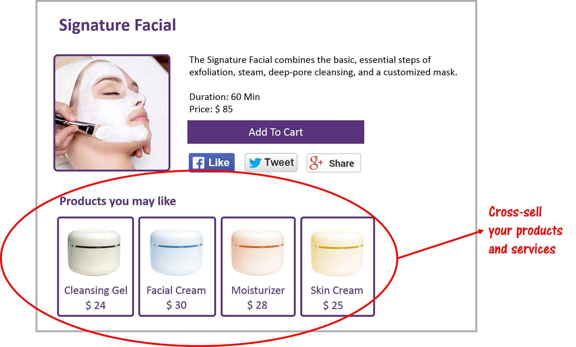 Related Products