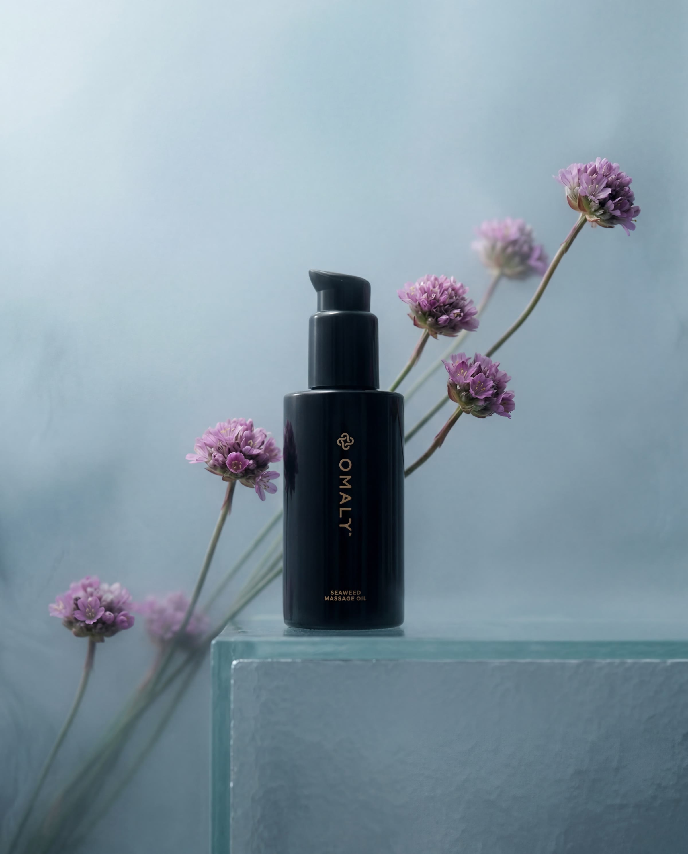 Omaly Seaweed Massage Oil bottle resting on a glass plinth with pink sea thrift flowers on stems behind, soft pale blue grey background.