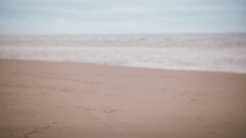 Small rainbow kite with long pink ribbon arcing into the upper right against beach and sky.