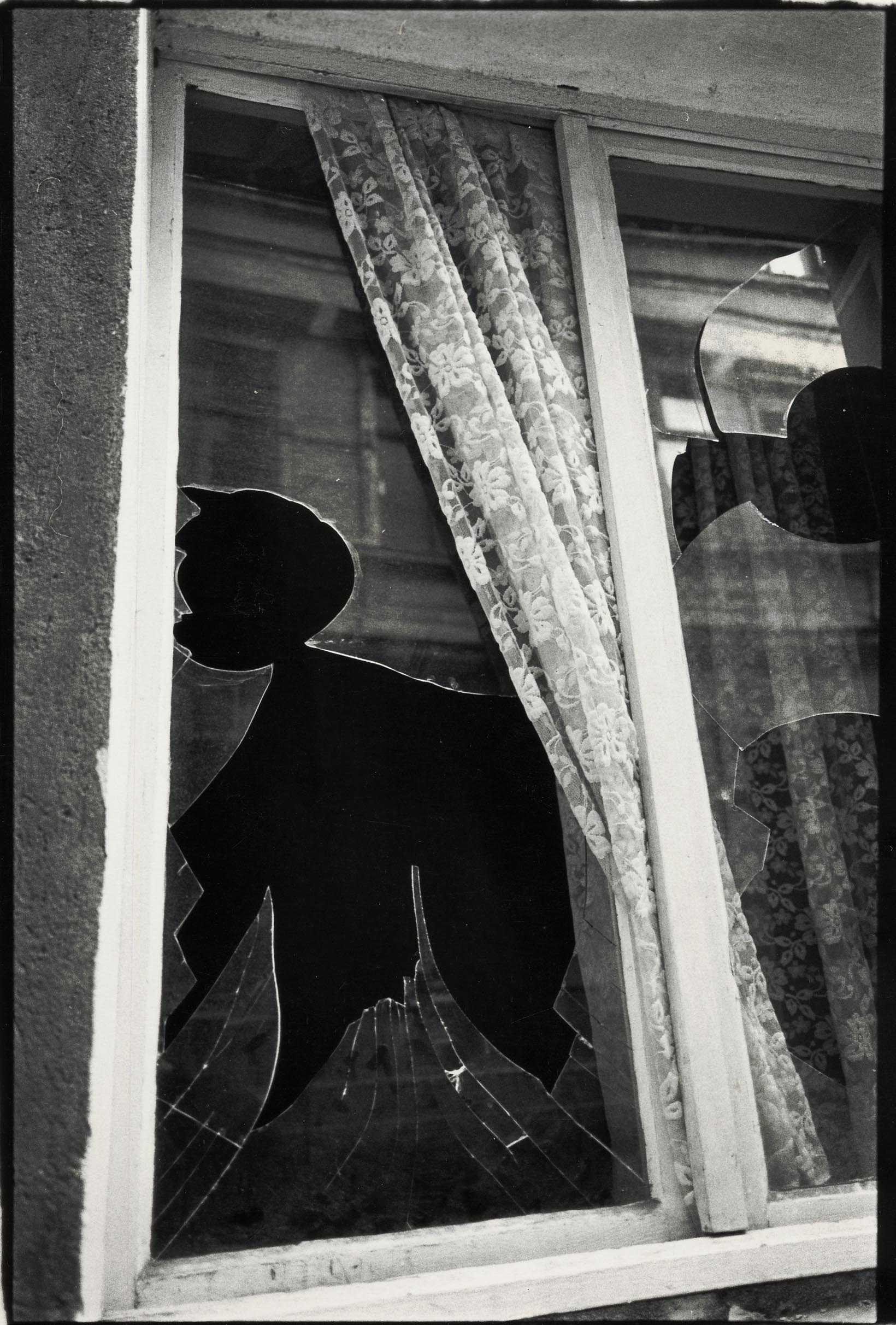 Fenster