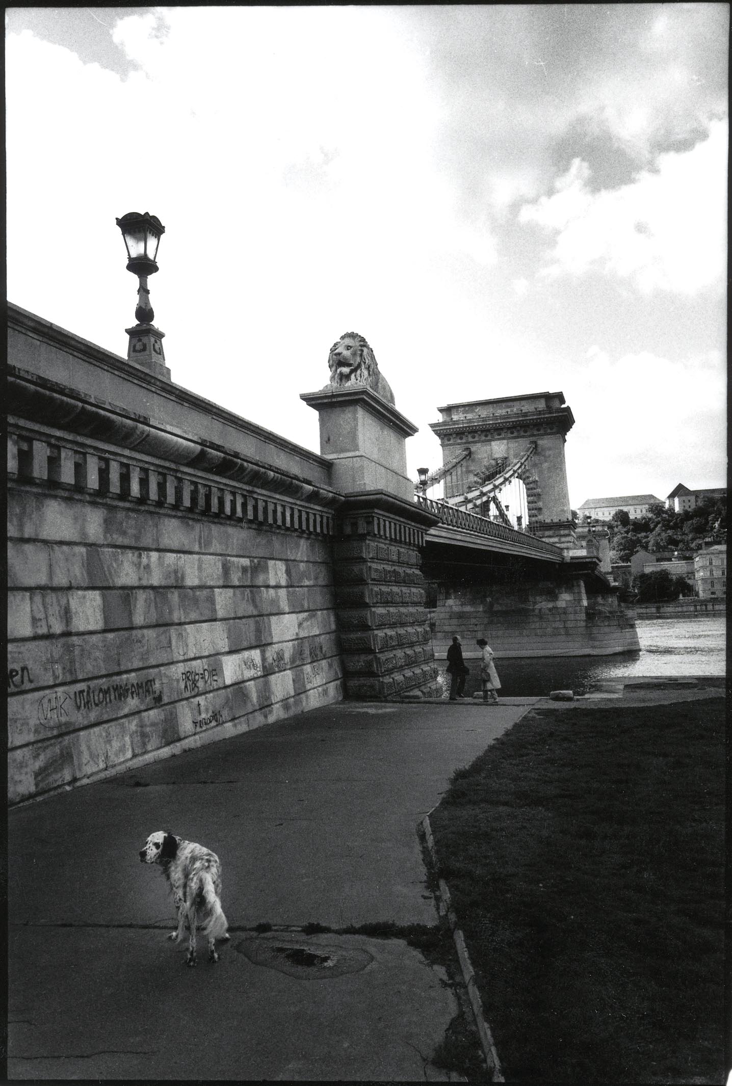 Hund Kettenbrücke Budapest