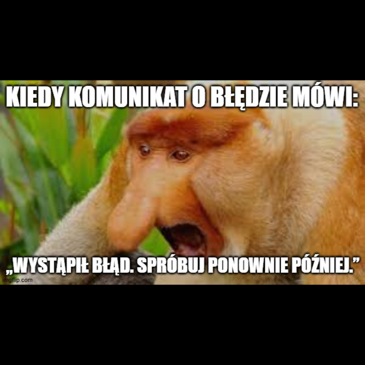 Zdjęcie małpy nosacza sundajskiego z szeroko otwartymi oczami i ustami w wyrazie zaskoczenia. Na górze napis: „Kiedy komunikat o błędzie mówi:”, na dole: „Wystąpił błąd. Spróbuj ponownie później.” – mem krytykujący nieczytelne komunikaty błędów na stronach