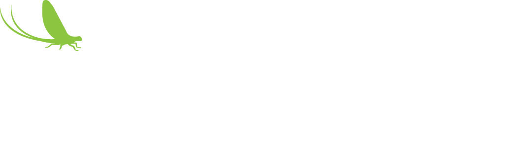 Emerger Strategies