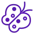 Purple outline of butterfly