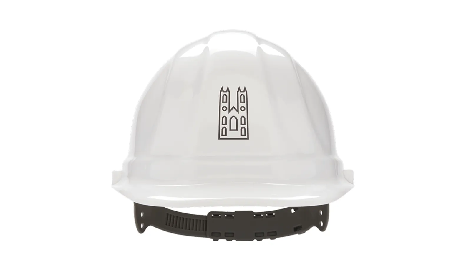 Sanctuary Investments branded hard hat