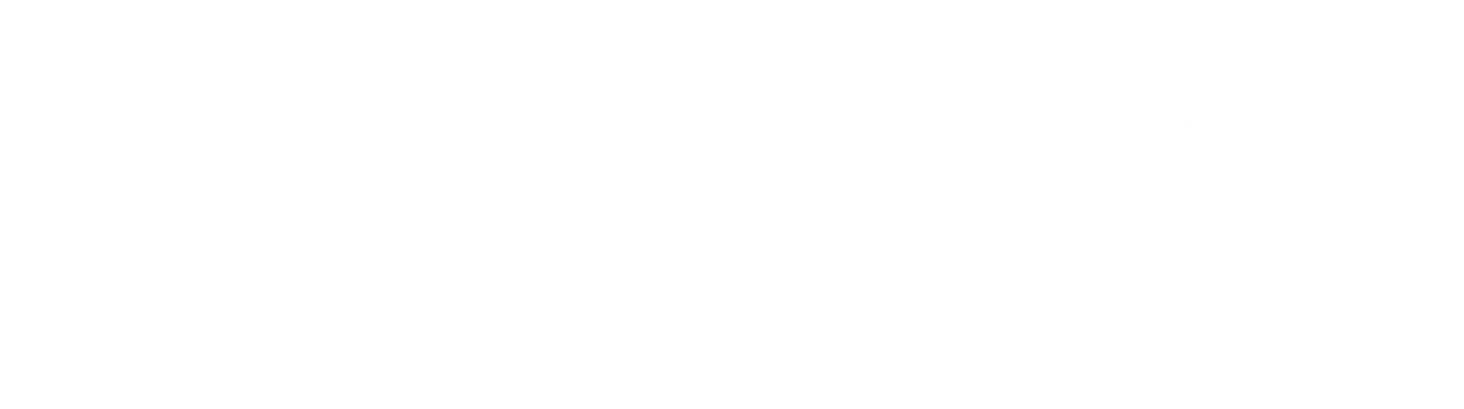 Larvo logo footer